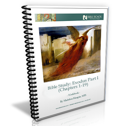 Exodus Part I: Bible Study Guide
