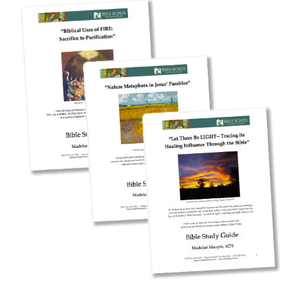 Spiritual Sustainability: A Biblical Perspective (3 PDFs)